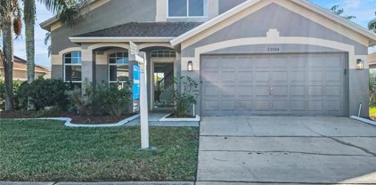 29704 Eagle Station Drive, Wesley Chapel