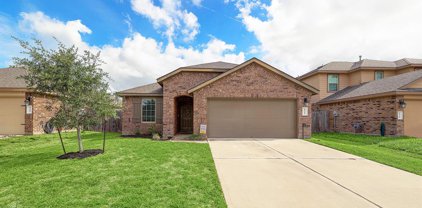 8311 Oakleaf Meadow Court, Rosharon