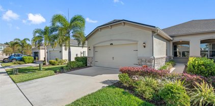 11608 Weathered Felling Drive, Riverview