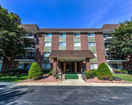 1030 S Fernandez Avenue Unit #2K, Arlington Heights