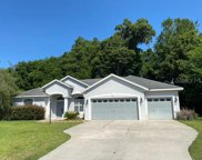 19497 Sw 82nd Place Road, Dunnellon image