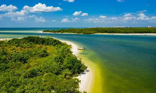 Pelican Bay Homes for Sale