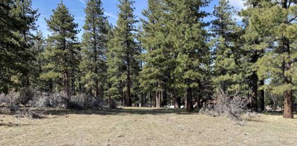 4300 Meadow Wood, Carson City