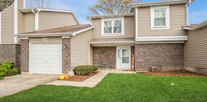 239 Hedgerow Drive, Bloomingdale