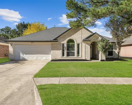 11719 Lennington Lane, Houston