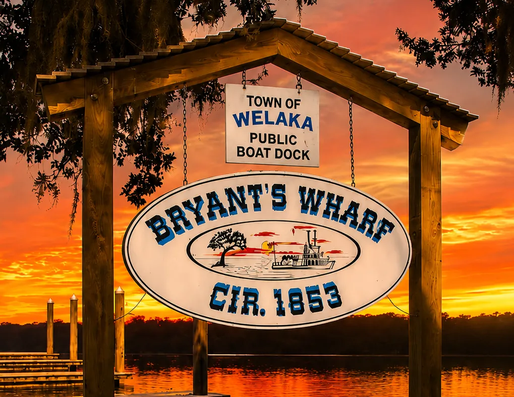 Homes for Sale in Welaka Florida