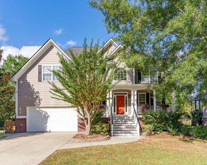 195 Oak Point Landing Drive, Mount Pleasant