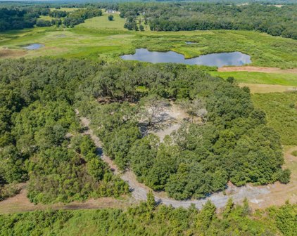 Neff Lake Road, Brooksville