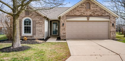 13217 Golden Ash Court, Fishers
