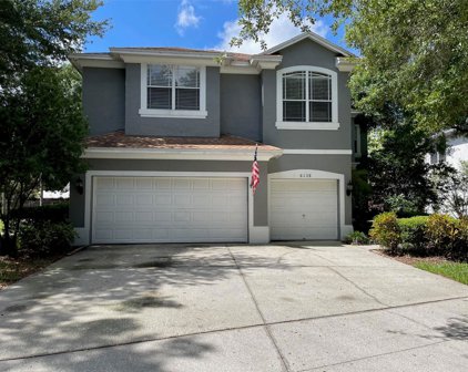 6138 Native Woods Drive, Tampa
