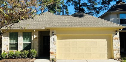 2826 Whitman Drive, Montgomery