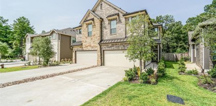 231 S Spotted Fern Drive, Montgomery