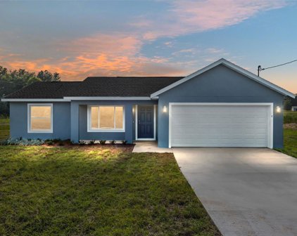 20 Maple Lane, Ocklawaha