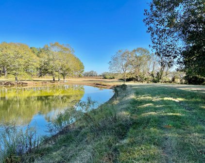 22.3ac County Rd 114, Brundidge