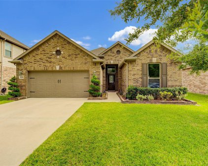 3236 Laurel Bend Lane, Pearland