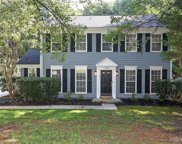 13539 Dansville  Drive, Pineville image
