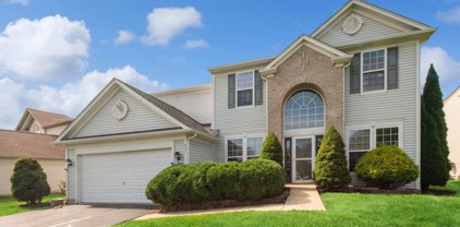 227 Carolina Street, Bolingbrook