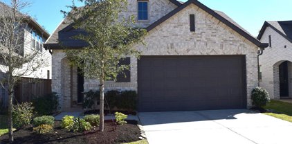 537 Timber Voyage Court, Conroe