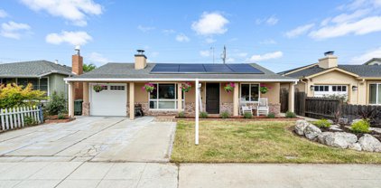 3705 Branson DR, San Mateo
