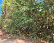 Lot 15 & 16 Tawnyberry Lane, Plantersville image