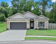 15 Trevor Cv, Munford image