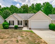 1329 Spring View  Court, Rock Hill image