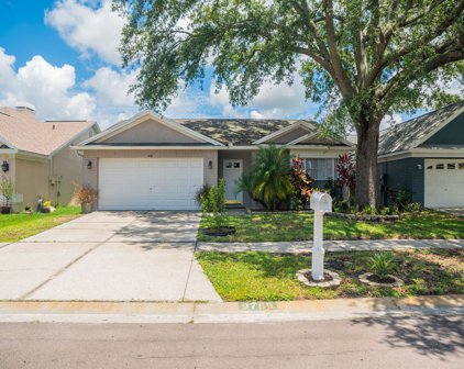 9769 Fox Chapel Road, Tampa