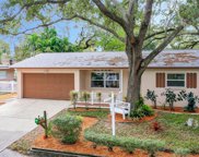 420 Dr M L King Jr Street N, Safety Harbor image