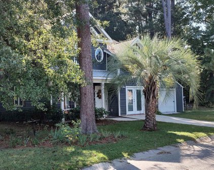 197 Robert Conway Ct., Georgetown