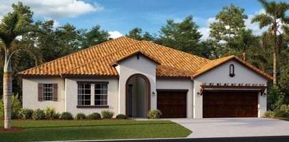 5513 Silent Crest Drive, Wimauma
