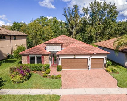 2935 Calvano Drive, Land O' Lakes