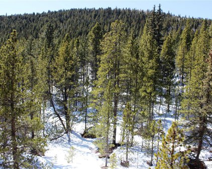 00 Nevadaville Road, Central City
