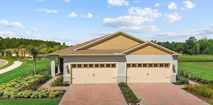 3650 Meadow Beauty Way, Clermont