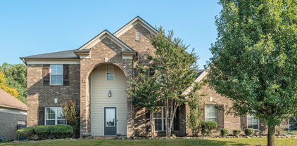 6414 Red Bird Drive, Olive Branch