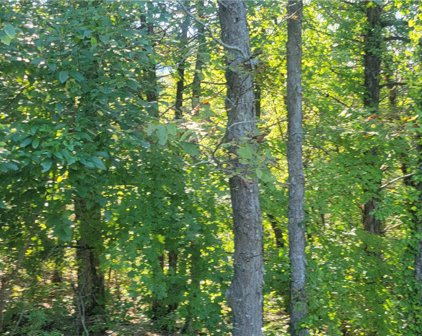 59 Haddock  Lane, Eureka Springs