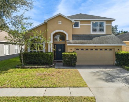 4334 Huddlestone Drive, Wesley Chapel