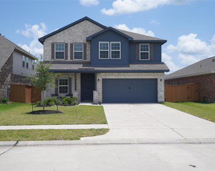 11001 Mendel Terrace Drive, Rosharon