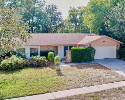 1456 Windjammer Loop, Lutz