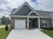 7502 Fernvale Springs Way, Fairview image