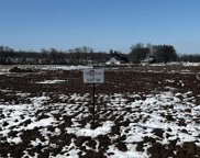 L18 South Forest View Dr, Turtle image