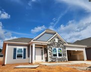 408 Saylor Hall Lane, Chapin image