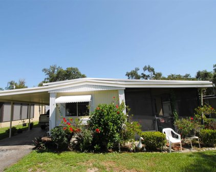 10305 Cypress Cove Lane, Clermont