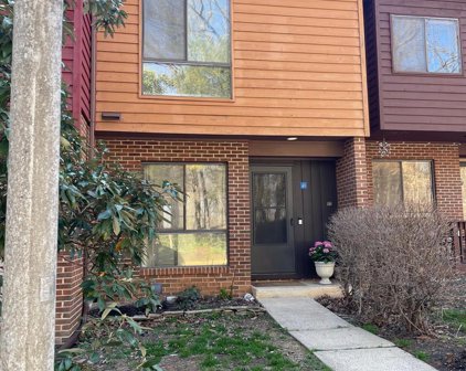 11507 Buttonwood Ct, Reston