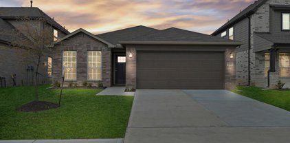 2232 Forest Chestnut Drive, Spring