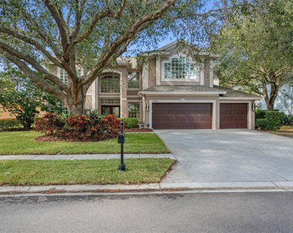 4059 Ligustrum Drive, Palm Harbor