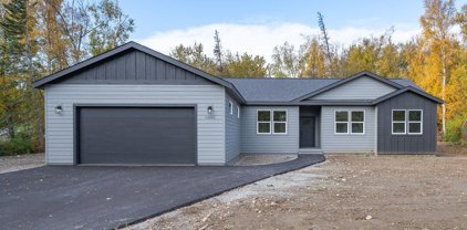 11041 Equestrian Street, Palmer