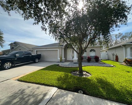 6835 Belt Link Loop, Wesley Chapel