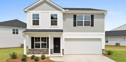 7244 Heirloom Lane, Lot 9, Inman