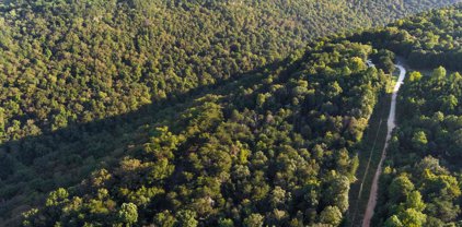 LOT 33 County Road 369, Fort Payne