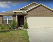 5435 Peralta Mills Way, Katy image